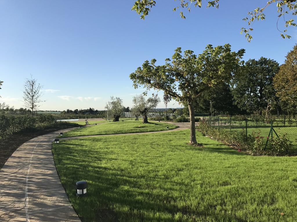 Agriturismo La Rinaldina Faenza Exterior foto